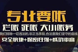 陕西讨债最专业的公司是哪家，专业讨债的各种方式